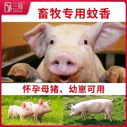 狗子能不能闻蚊香,狗可以闻蚊香味道吗