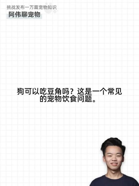 狗子能吃豆角么,狗可以吃豆角豆吗