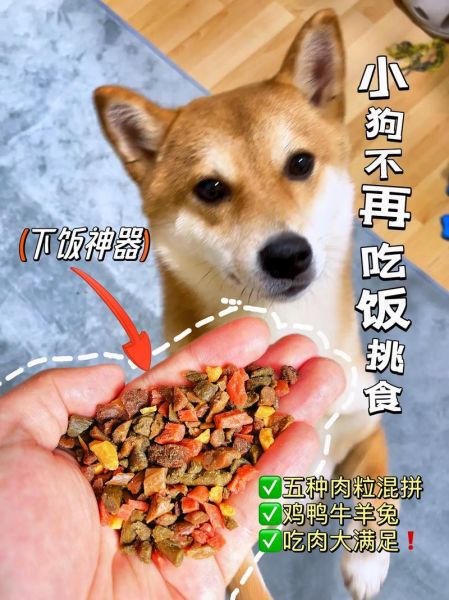 狗狗只吃肉不吃饭怎么办,狗狗吃饭