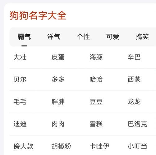 狗狗名字男女通用,狗狗名字男生帅气