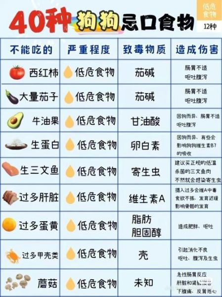 狗狗忌口的食物一览表,狗可以吃芹菜吗生的