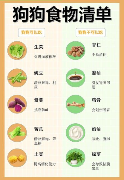 狗狗忌口的食物一览表,狗可以吃豆腐吗 煮熟的