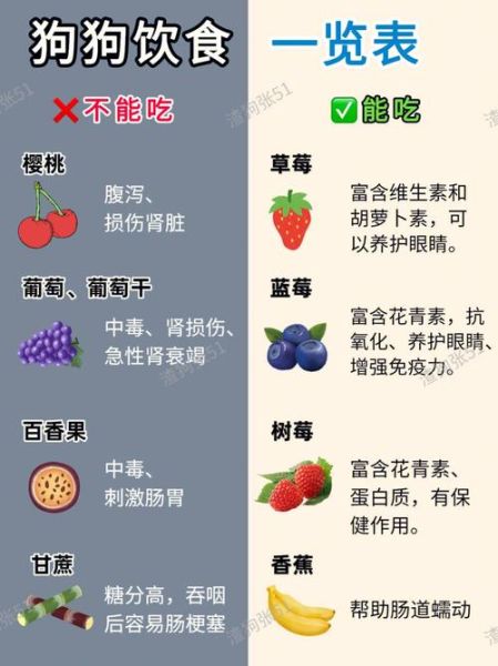 狗狗忌口的食物一览表,狗狗能喝豆浆吗要专业医生答复