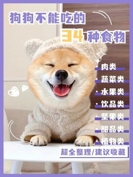 狗狗能不能吃土豆和鸡蛋一起吃,狗狗能不能吃土豆丝米饭