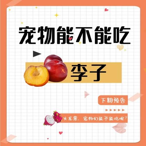 狗狗能不能吃李子肉,狗狗能不能吃李子园