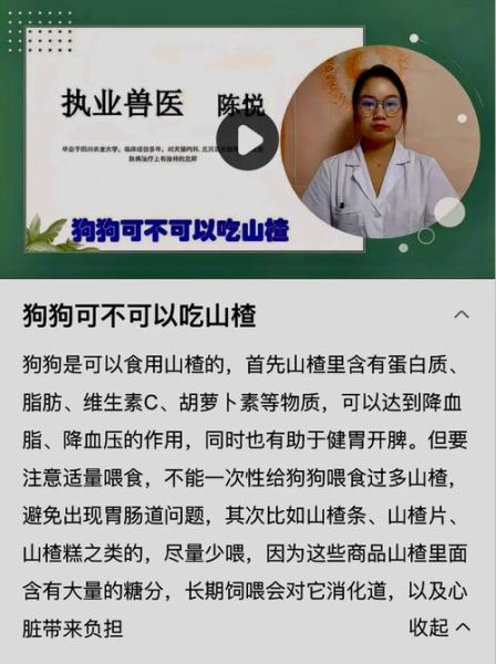狗狗能吃山楂吗有营养吗,狗狗忌口的食物一览表