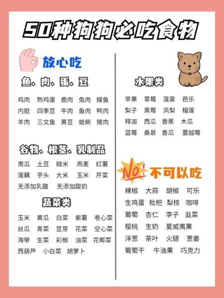 狗狗能吃的十大水果,狗狗可以吃饼干吗,里面有盐成分