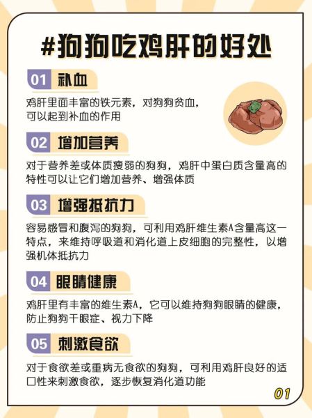 狗狗能吃鸡肝吗怎么吃最好,狗狗能吃鸡肝吗有什么功效