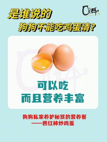 狗狗能吃鸡蛋不,狗能吃鸡蛋黄吗