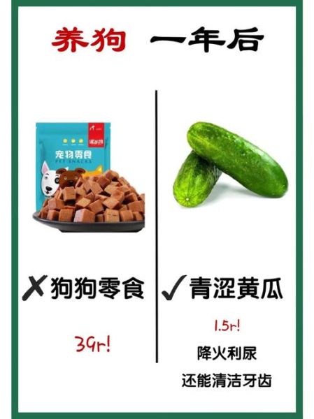 狗狗能吃黄瓜吗,小狗能吃黄瓜吗生的嫪毐