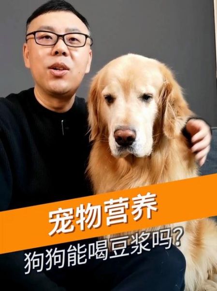 狗狗能喝豆浆吗,狗能喝豆浆吗有危害吗