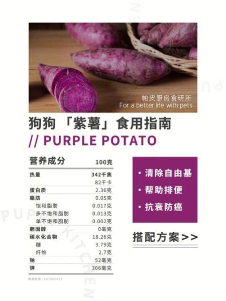 狗能不能吃紫薯,狗狗可以吃紫薯吗煮熟的