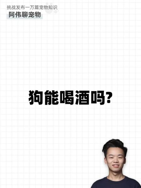 狗能喝啤酒嘛,狗狗可以喝啤酒吗