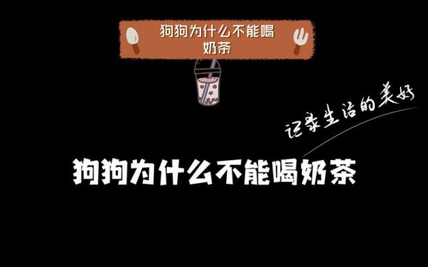 狗能喝奶茶不,狗狗能不能喝奶茶吗