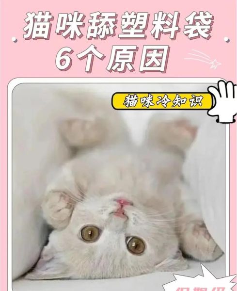 猫为什么舔塑料袋子就是不吃饭,猫为什么舔塑料袋子