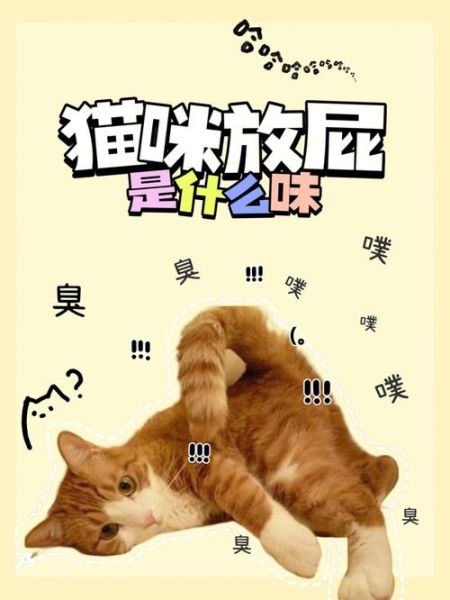 猫会放屁吗什么味道,猫会放屁吗视频
