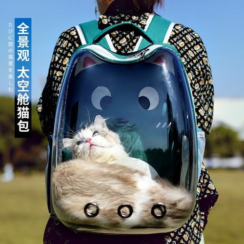 猫包带猫可以上地铁吗,猫可以上地铁吗 背着书包