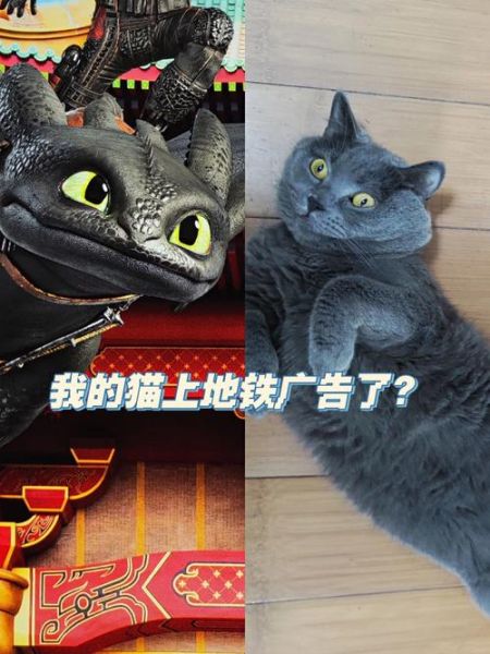 猫包带猫可以上地铁吗,猫可以上地铁吗 背着书包
