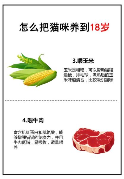 猫可以吃三文鱼吗有刺吗,三文鱼边角料怎么喂猫