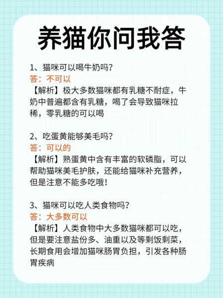猫可以喝什么奶制品,猫咪喝什么奶粉比较好
