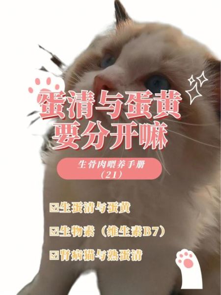 猫吃了生鸡蛋液会怎么样,小猫能吃生鸡蛋吗怎么吃