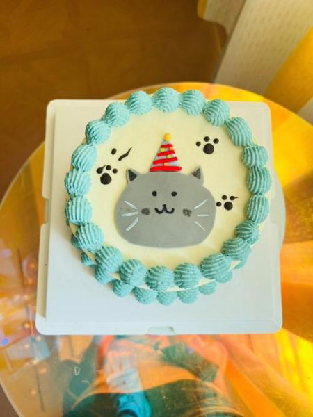 猫咪吃了一点点蛋糕没事吧,猫咪能吃蛋糕吗