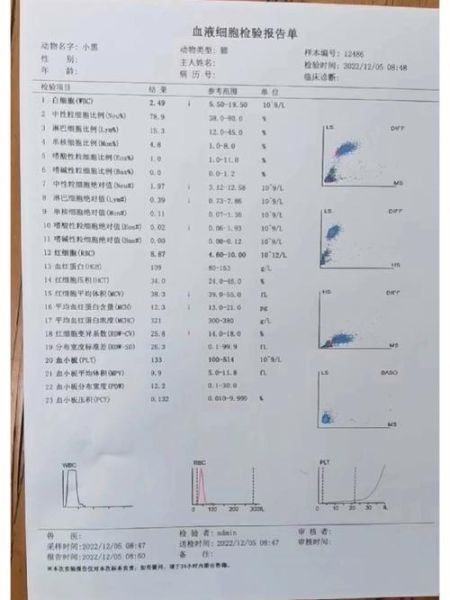 猫咪的白细胞低于多少算危险,猫白细胞低的原因也不是猫瘟