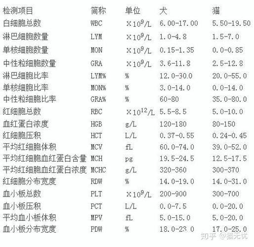 猫咪的白细胞低于多少算危险,猫白细胞低的原因也不是猫瘟