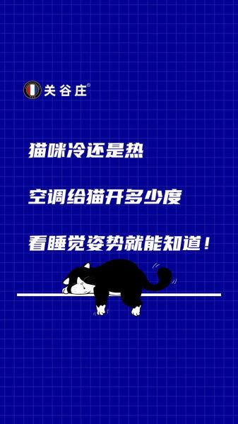 猫咪耐冷吗,猫耐热多少度