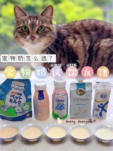 猫喝什么奶最好,猫喝什么奶比较好