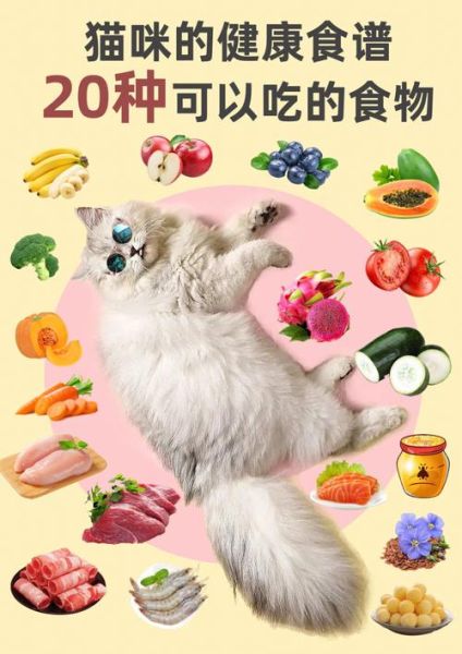 猫最爱吃的20种食物,猫可以吃猪肝吗 有什么好处