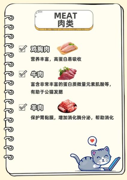 猫最爱吃的20种食物,猫可以吃猪肝吗 有什么好处