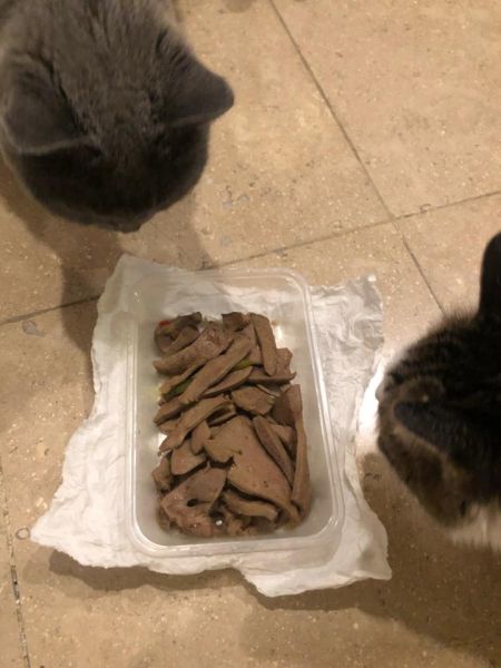 猫能吃猪肝吗猪肝吗,布偶猫能吃猪肝吗