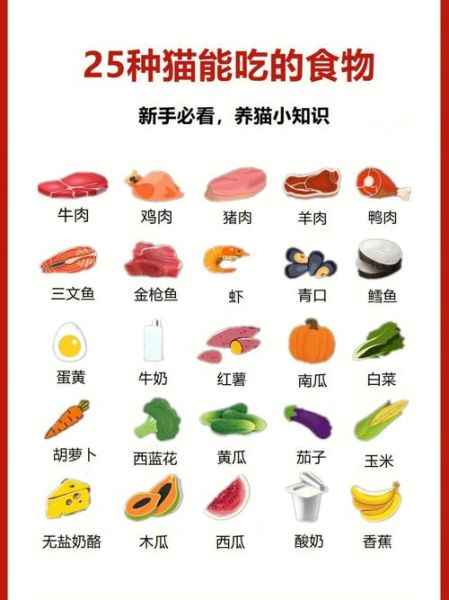 猫能吃蜂蜜吗必须冲吗,猫能吃的20种食物