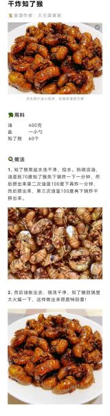 知了吃什么东西最好,知了吃什么东西怎样喂养