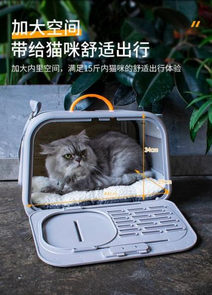 航空箱猫咪可以上地铁吗,猫咪可以上地铁吗郑州