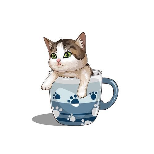 茶杯猫能长到多大,茶杯猫小猫多少钱一只