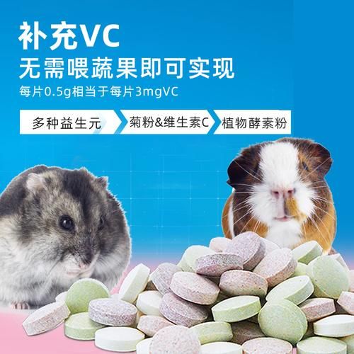 豚鼠吃什么补充维生素C,豚鼠吃什么草