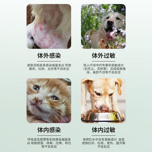 迈微舒能长期吃吗,迈微舒的作用