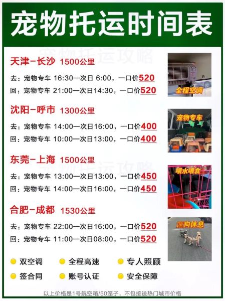 顺丰托运宠物价格表,宠物猫可以快递吗
