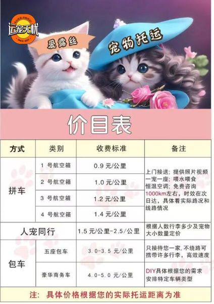 顺丰托运宠物价格表,宠物猫可以快递吗