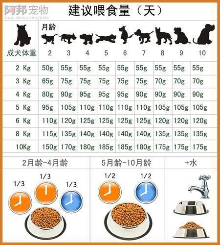 14斤狗狗一天吃多少狗粮,9斤狗狗一天吃多少狗粮
