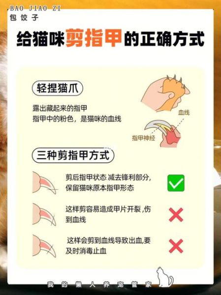 三个月小猫可以剪指甲吗,2个月的小猫可以剪指甲吗