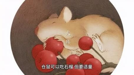 仓鼠可以吃石榴吗生的,仓鼠可以吃石榴吗不能吃的