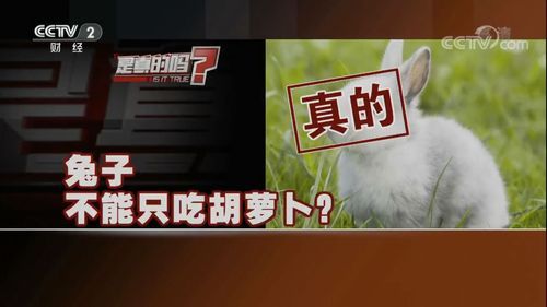 兔子吃不吃胡萝卜呀,兔子吃不吃胡萝卜缨