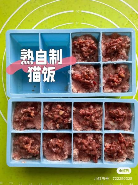 农村喂小土猫吃什么,怎样做猫饭猫咪爱吃