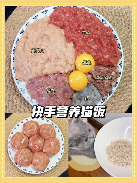 农村喂小土猫吃什么,怎样做猫饭猫咪爱吃