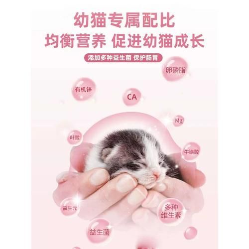 刚出生的小猫能喝什么奶,猫能喝什么奶粉好