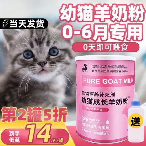 刚出生的小猫能喝什么奶,猫能喝什么奶粉好