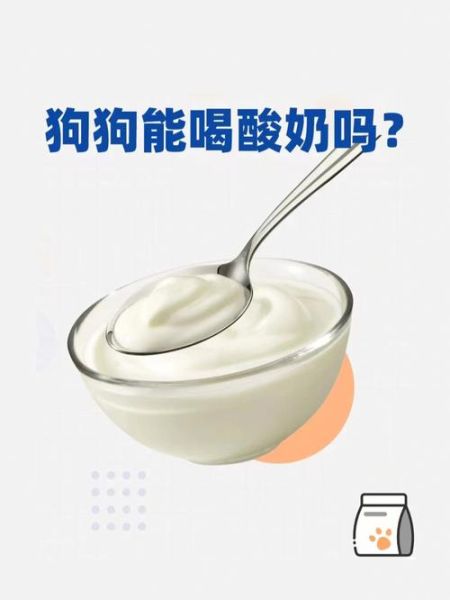 刚满月小狗能喝酸奶吗,一个多月小狗能喝酸奶吗